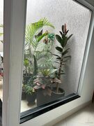 Foto 42