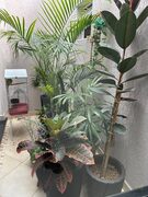 Foto 43