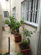 Foto 24