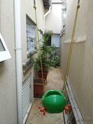 Foto 54